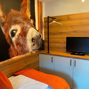 book here